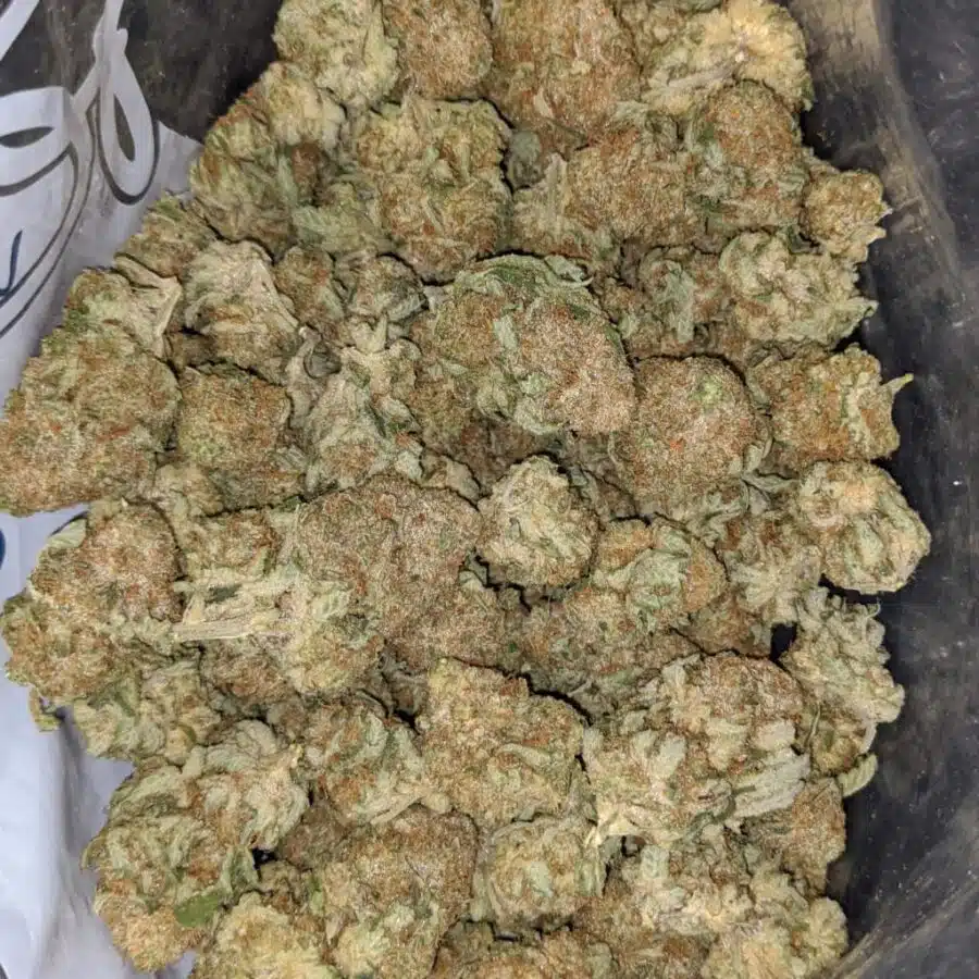 citrix 1 I $ 68 Oz - Citrix