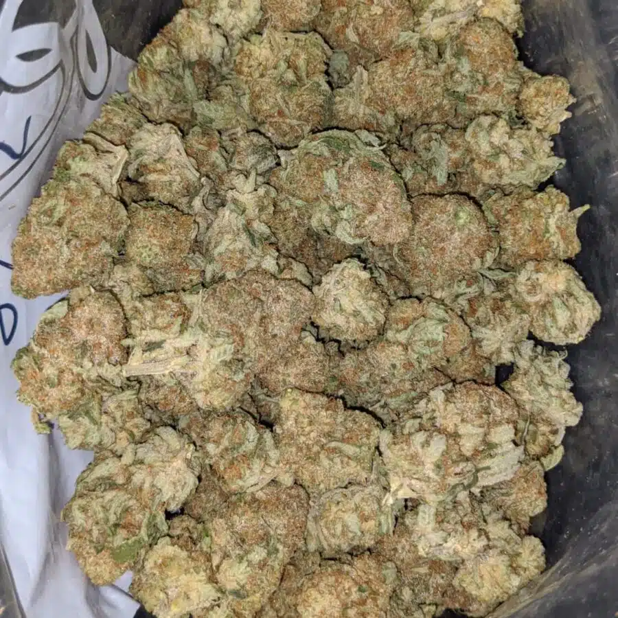 citrix 2 I $ 68 Oz - Citrix