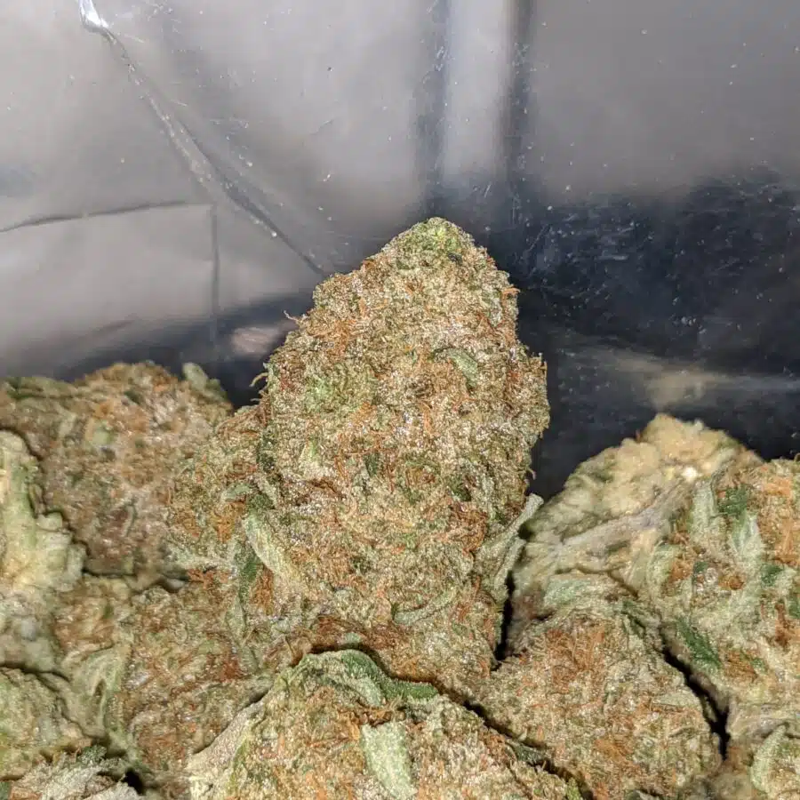 citrix 3 I $ 68 Oz - Citrix