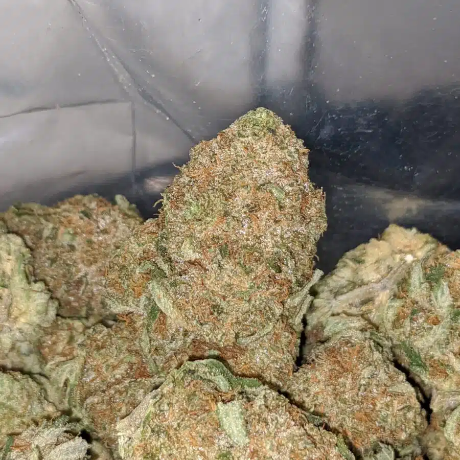 citrix 4 I $ 68 Oz - Citrix
