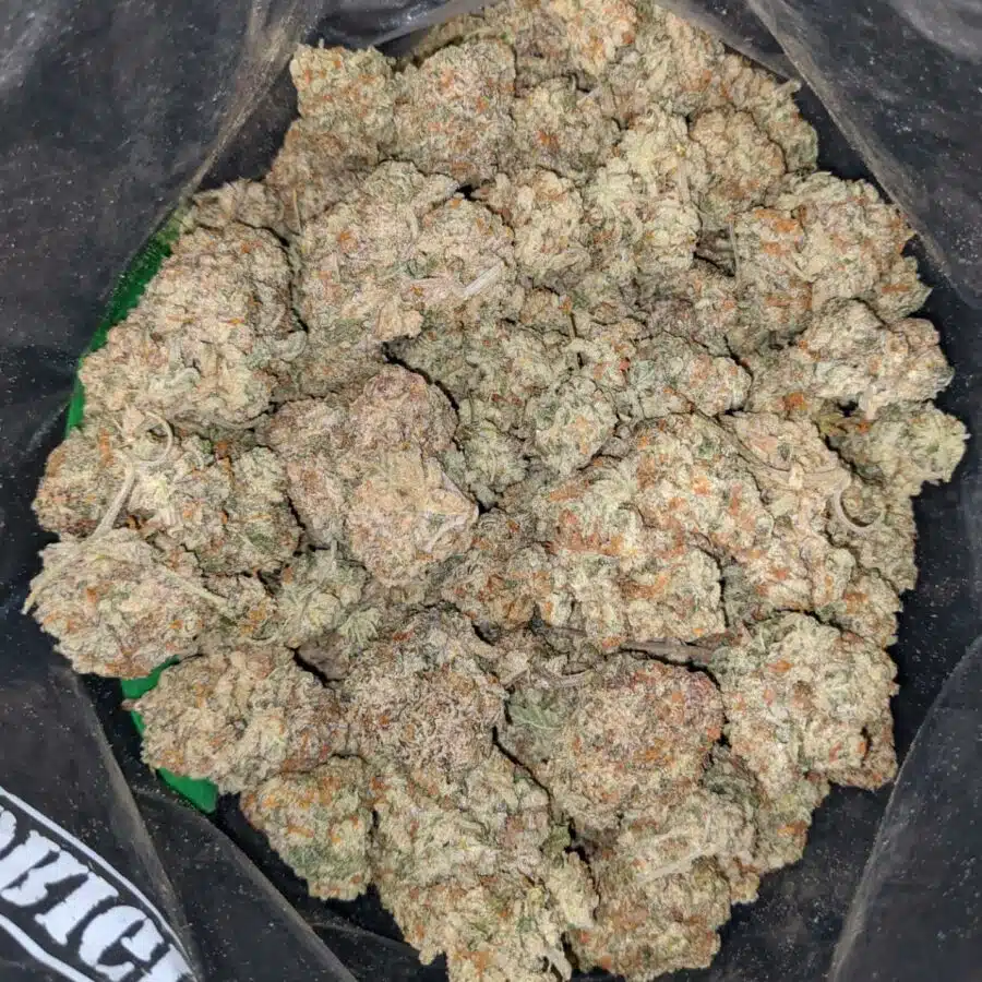 cookie monster 1 1 I $75 Oz - Cookie Monster