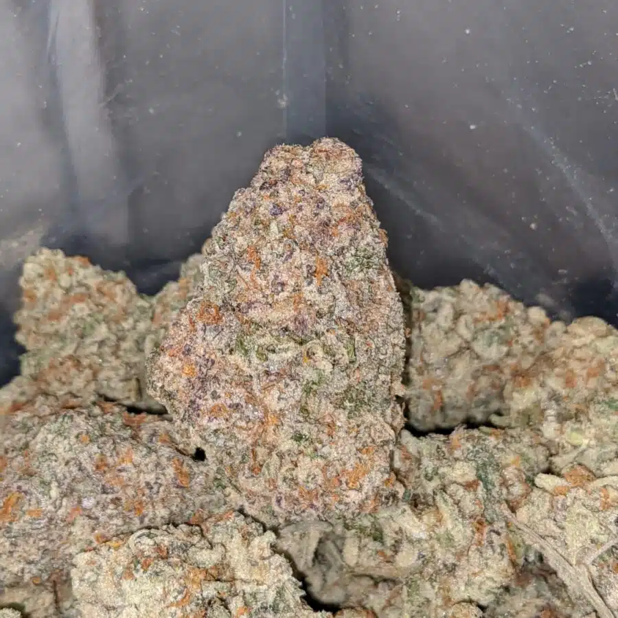 cookie monster 3 1 I $75 Oz - Cookie Monster