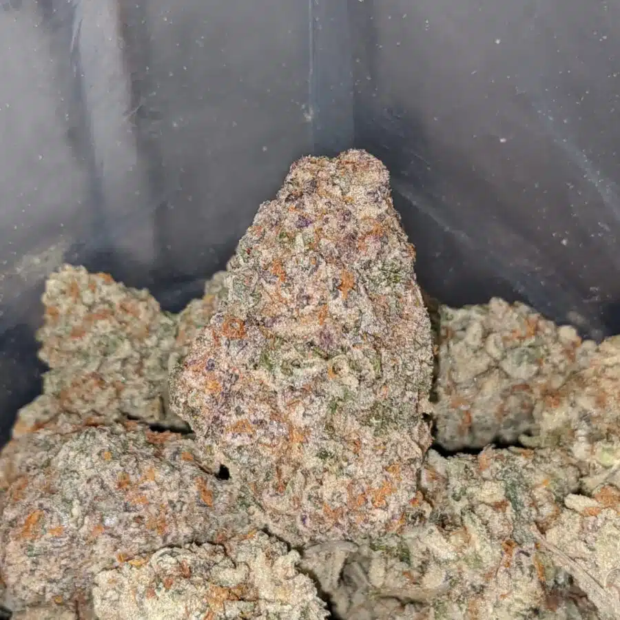 cookie monster 4 1 I $75 Oz - Cookie Monster