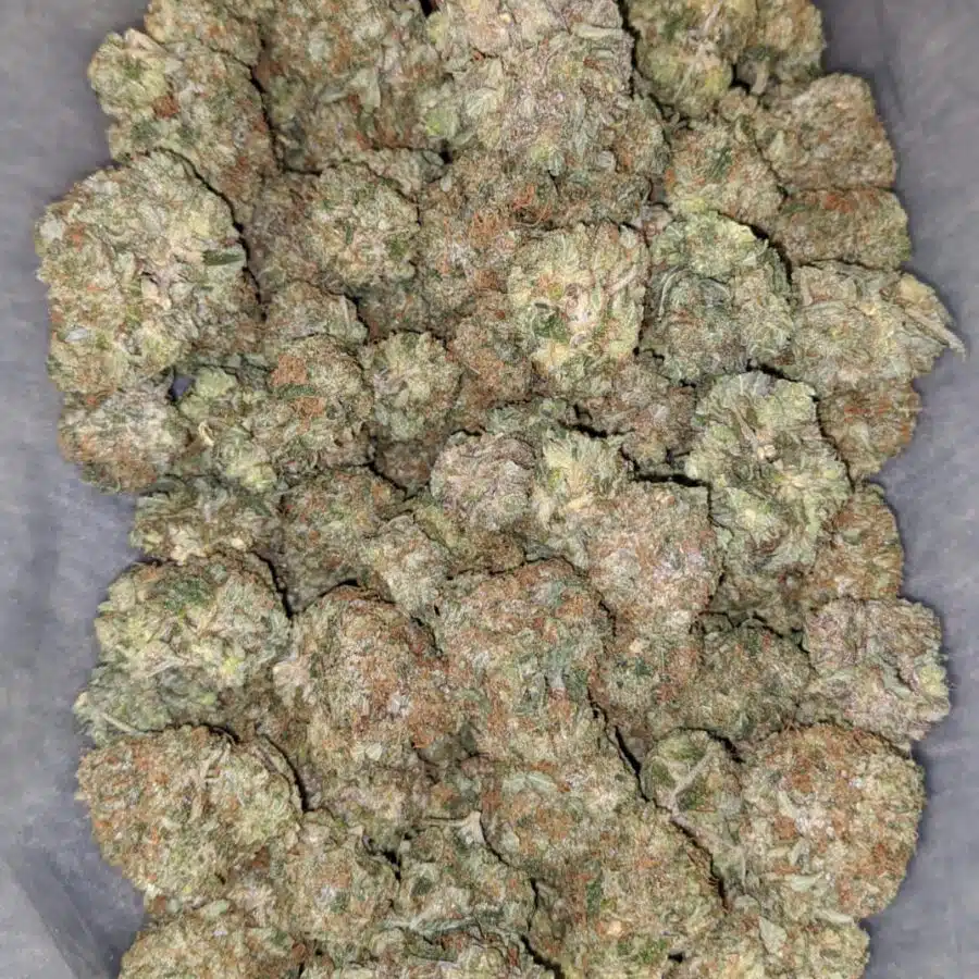 fire og 2 I Fire OG