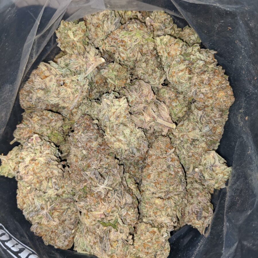 g wiz 1 I G-Wiz