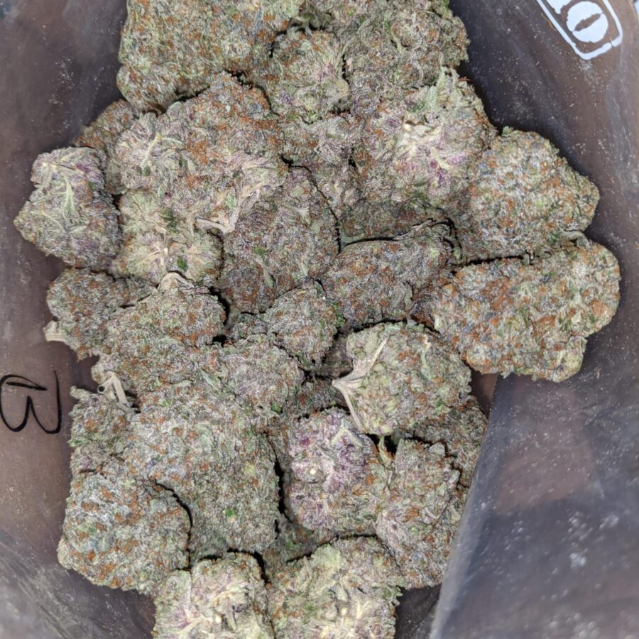 greenfarm rockstar 2 I Greenfarm's Rockstar
