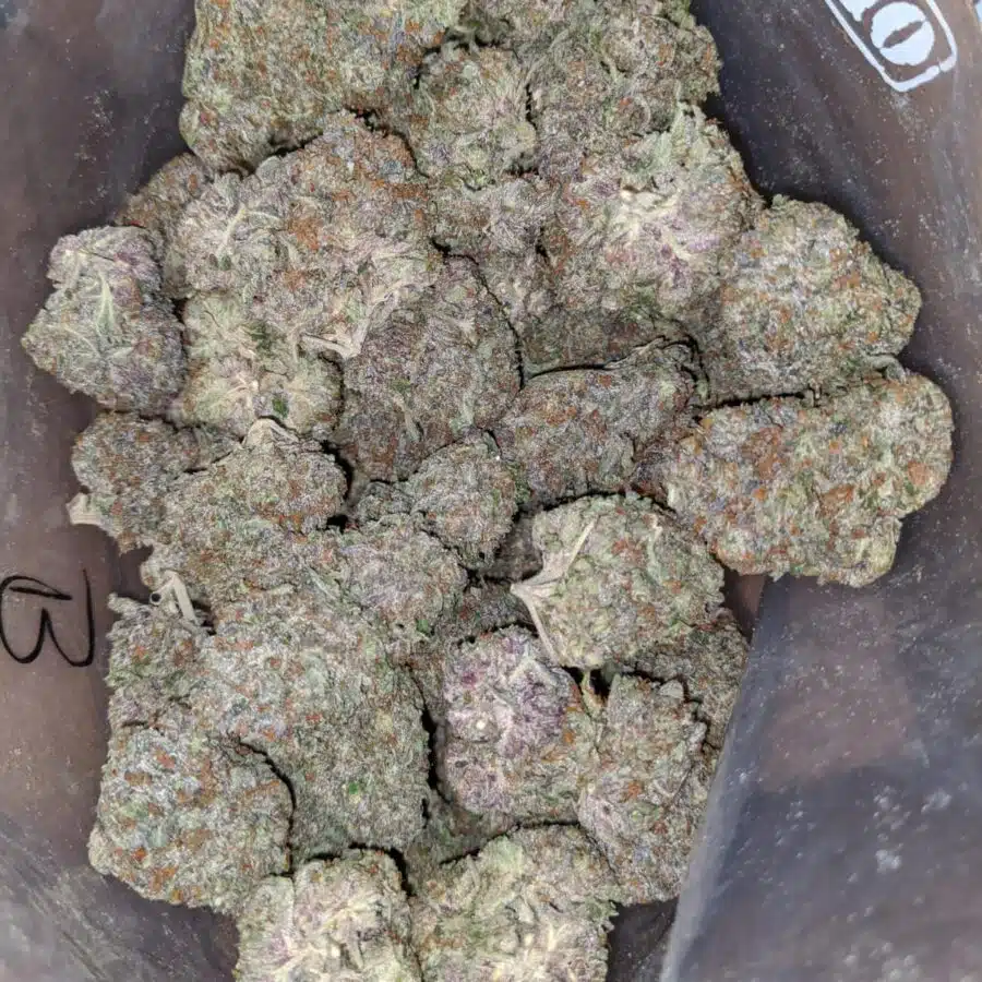 greenfarm rockstar 2 I Greenfarm's Rockstar