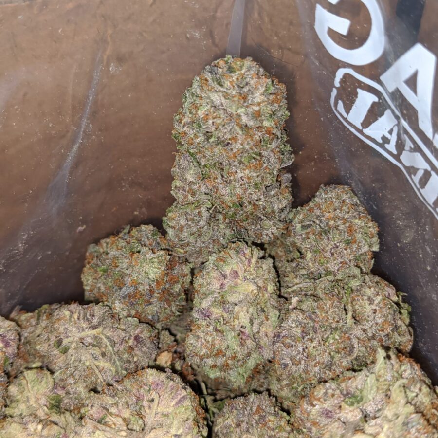 greenfarm rockstar 3 I Greenfarm's Rockstar