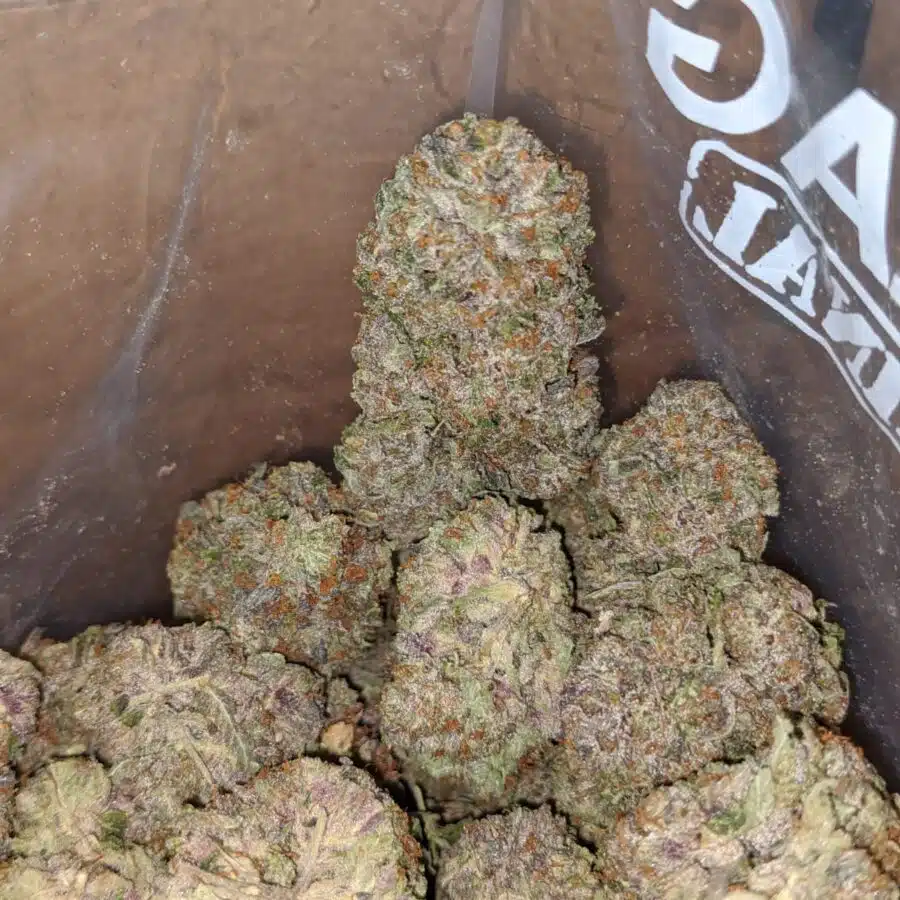 greenfarm rockstar 3 I Greenfarm's Rockstar