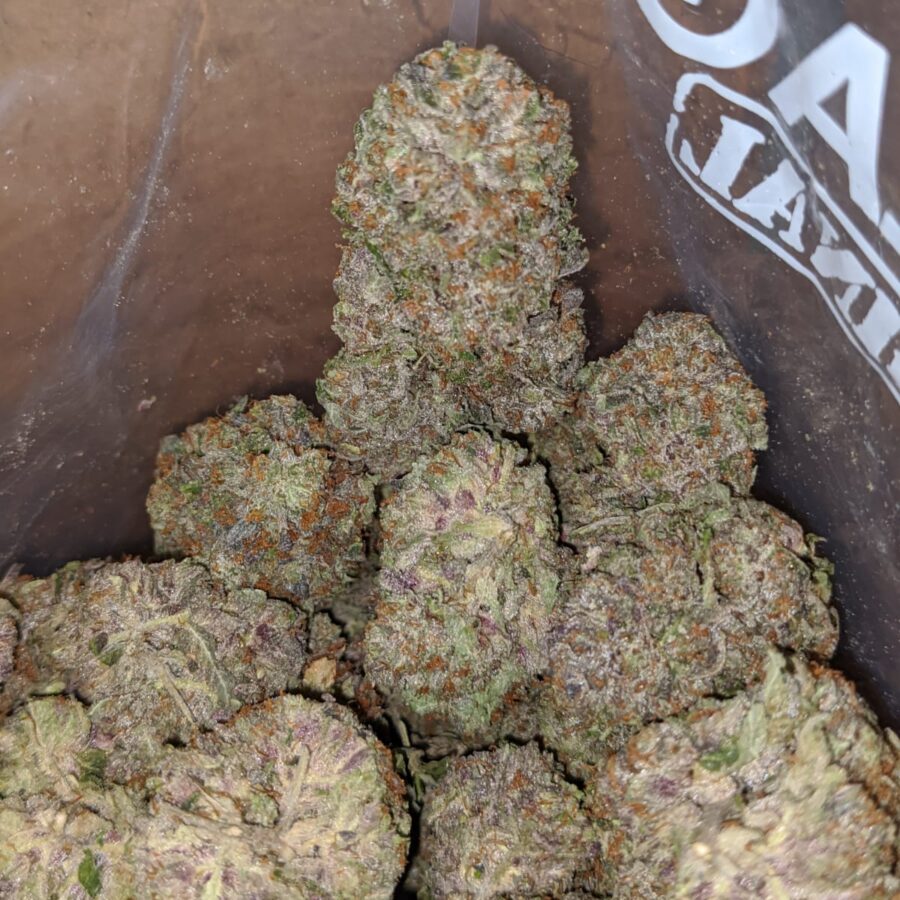 greenfarm rockstar 4 I Greenfarm's Rockstar