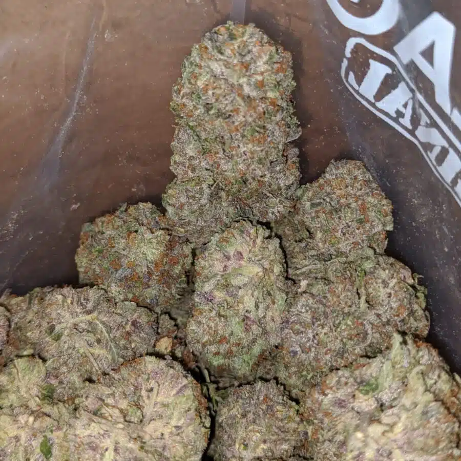 greenfarm rockstar 4 I Greenfarm's Rockstar