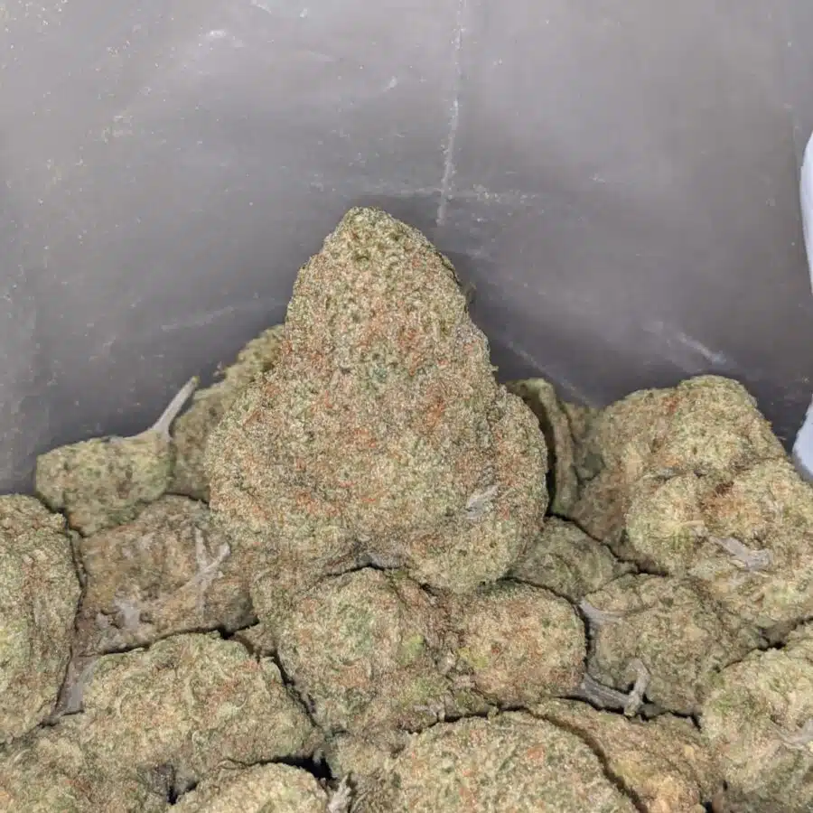 ice cream aaa 3 I $ 69 Oz - Cali Bubba