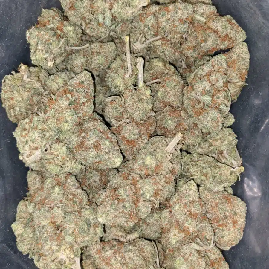 lemon drop 2 I Lemon Drop