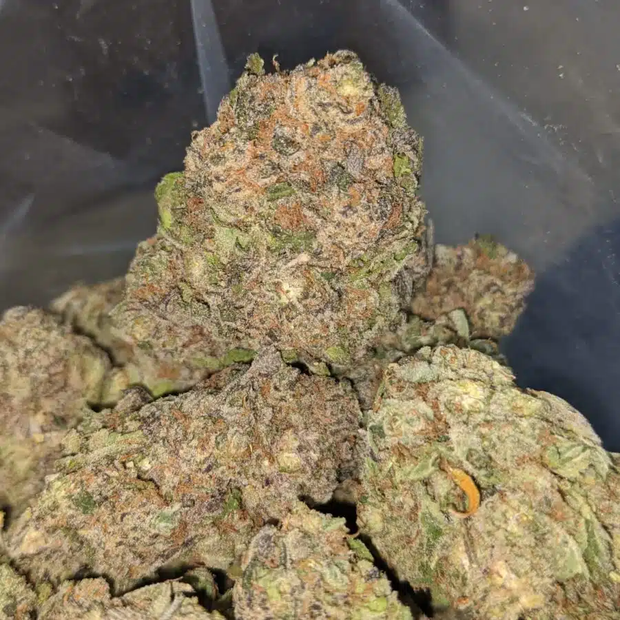 lemon merginue 2 I Lemon Meringue