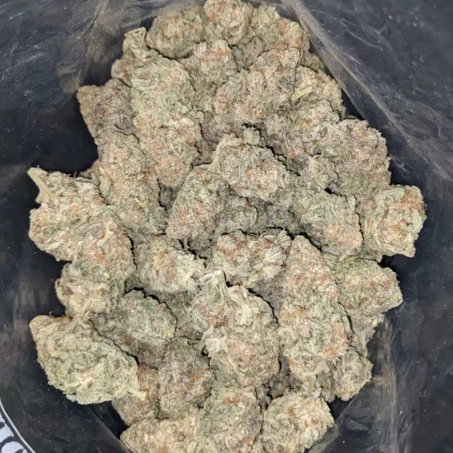 mac 10 1 I $79 Oz - Mac #10