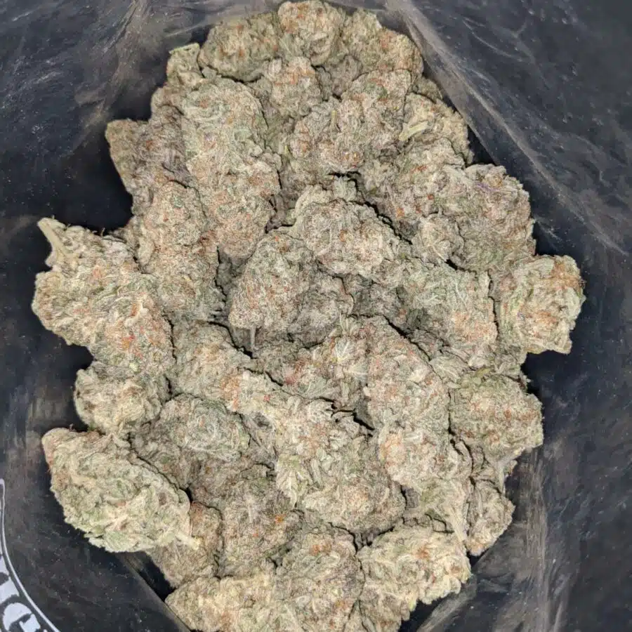 mac 10 2 I $79 Oz - Mac #10
