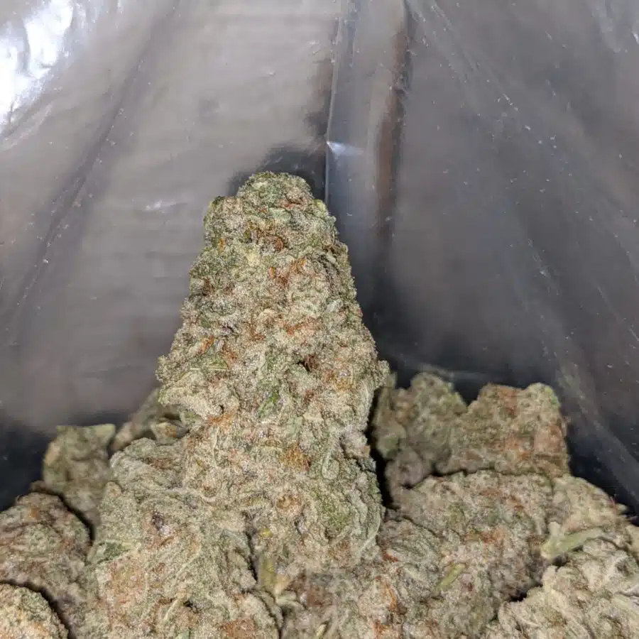 mac 10 3 I $79 Oz - Mac #10