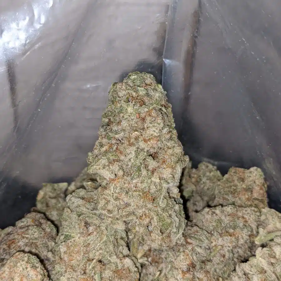mac 10 4 I $79 Oz - Mac #10