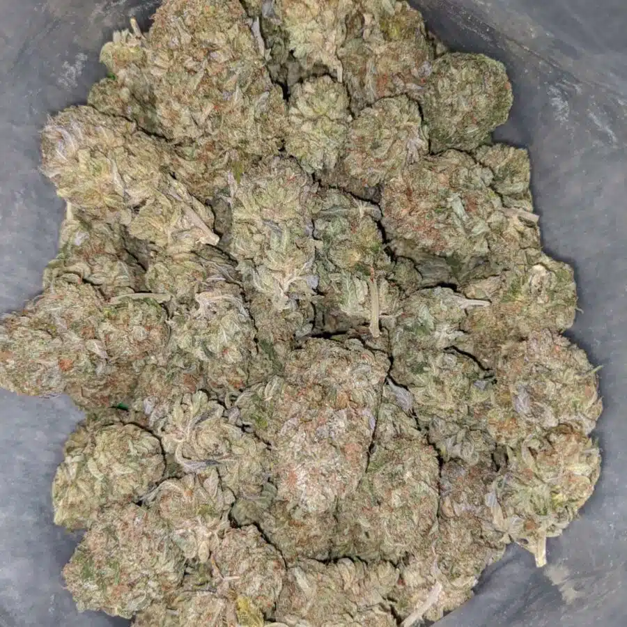 pink kush aaa 1 2 I Pink Kush AAA