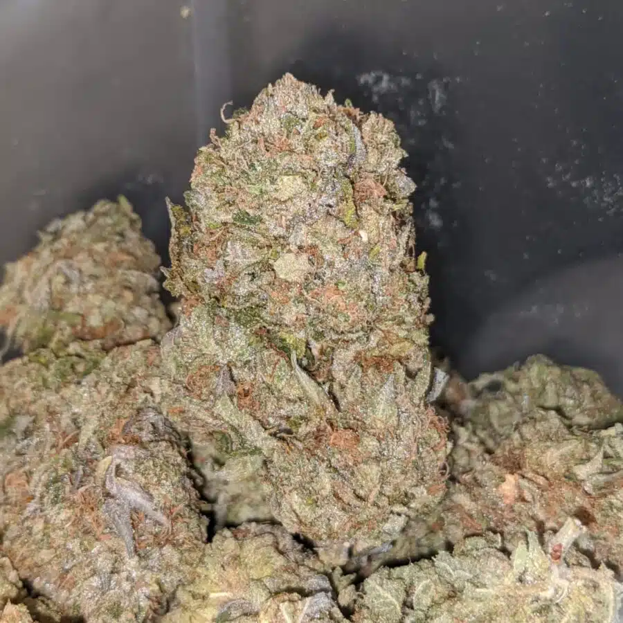 pink kush aaa 3 2 I Pink Kush AAA