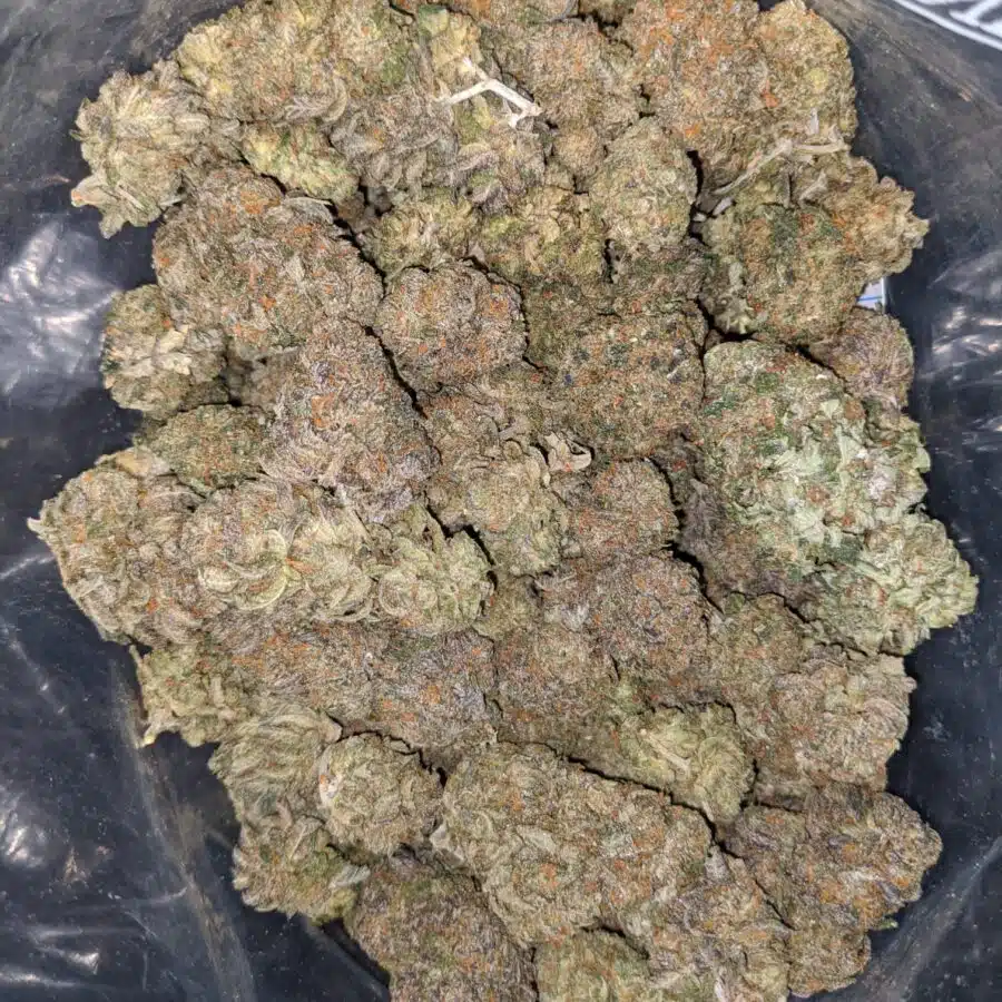 pugs breath 1 I $ 69 Oz - Pugs Breath