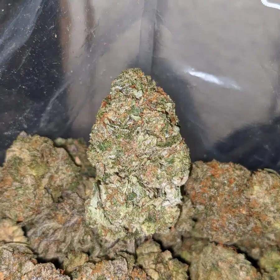 pugs breath 3 I $ 69 Oz - Pugs Breath