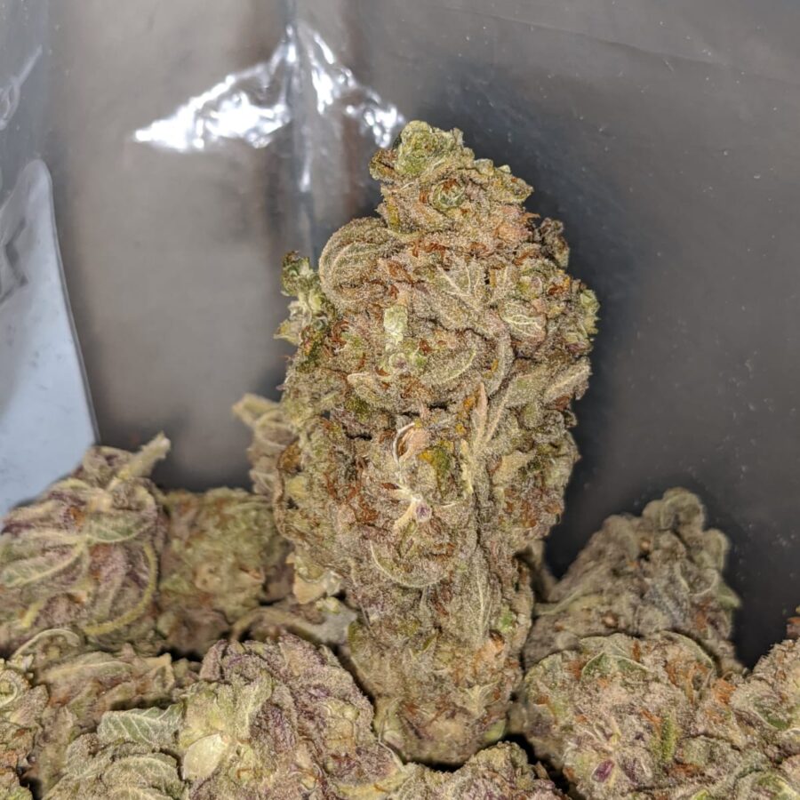 purple buddha 4 I Purple Buddha