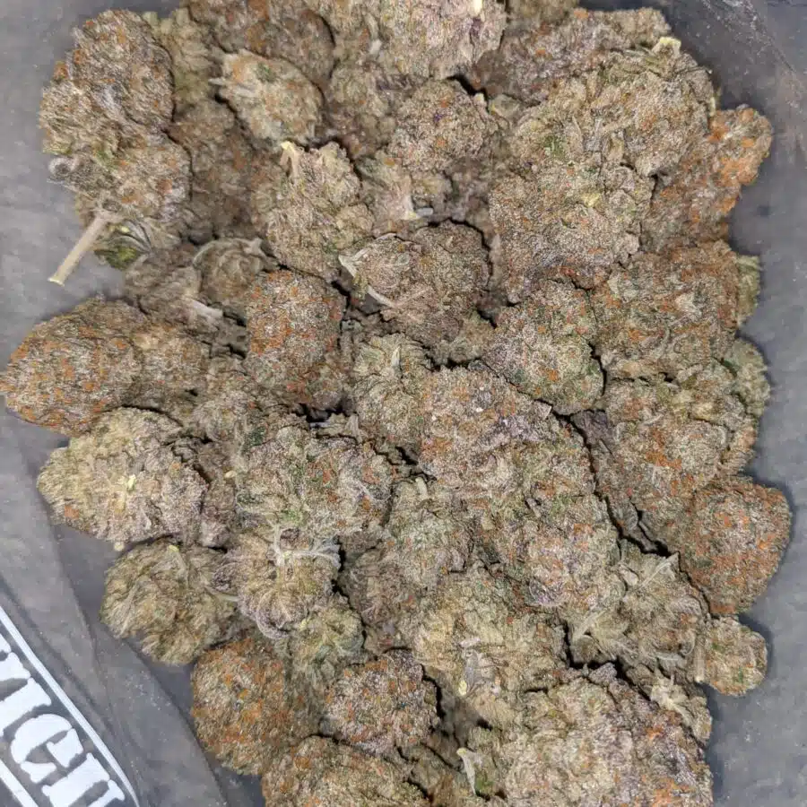 runtz x purple punch 1 I Runtz X Purple Punch