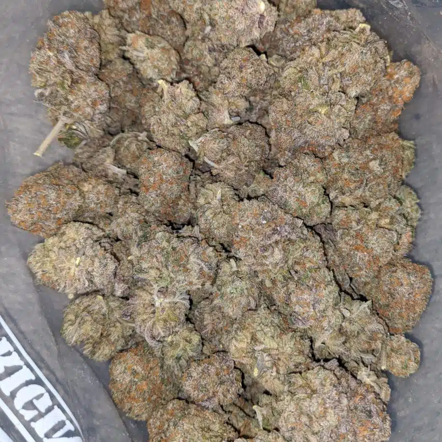 runtz x purple punch 2 I Runtz X Purple Punch