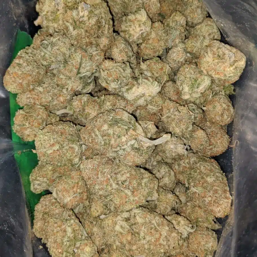 sherbert 1 I $69 Oz - Sherbert