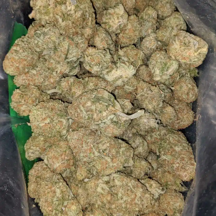 sherbert 2 I $69 Oz - Sherbert