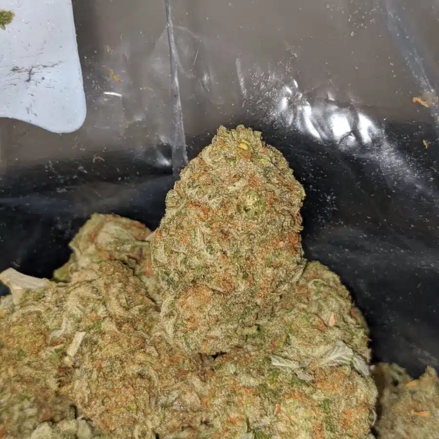 sherbert 3 I $69 Oz - Sherbert