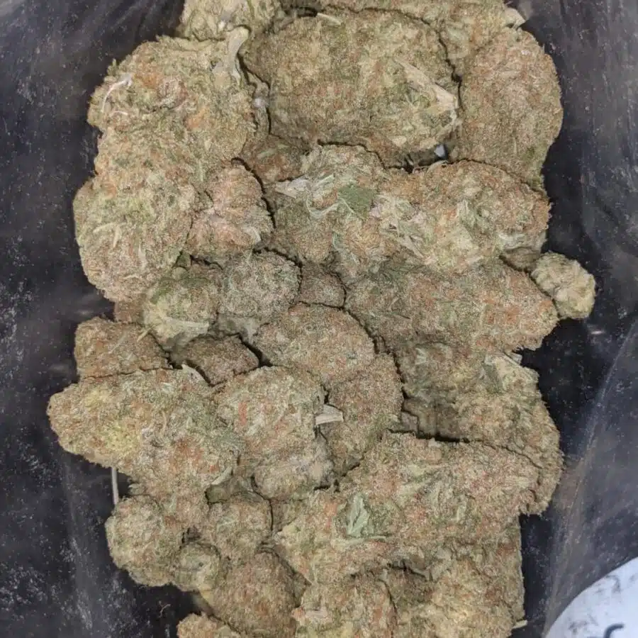 sugar cookies aaa 1 I $ 68 Oz - Sugar Cookies