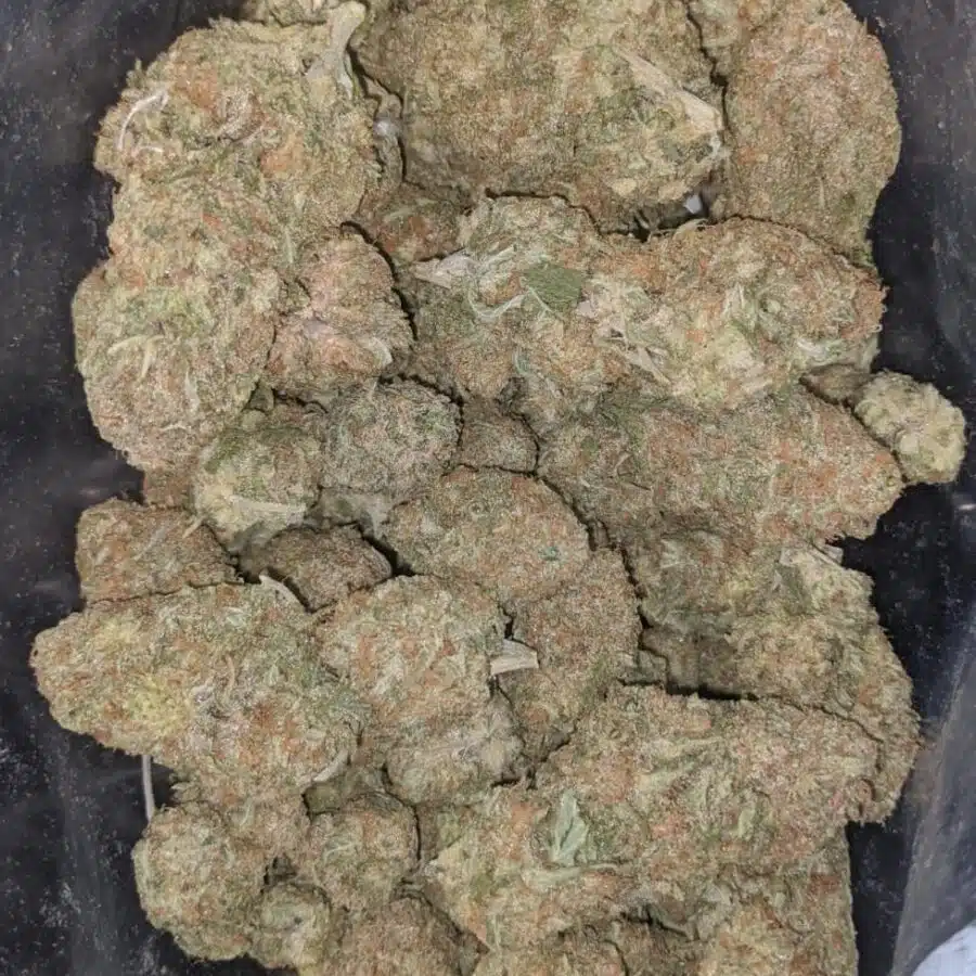 sugar cookies aaa 2 I $ 68 Oz - Sugar Cookies