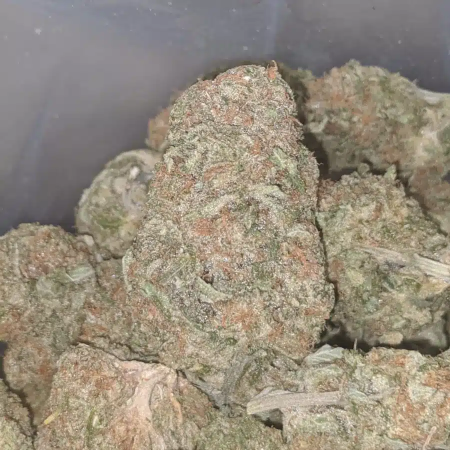 sugar cookies aaa 3 I $ 68 Oz - Sugar Cookies