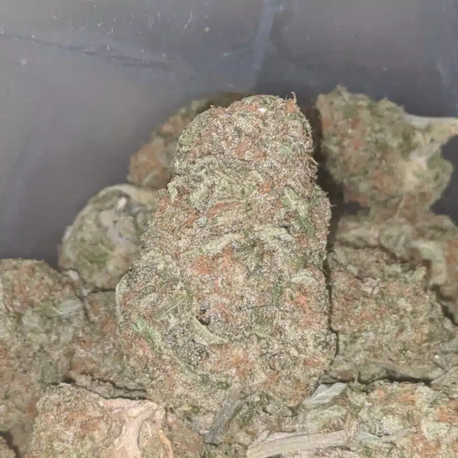 sugar cookies aaa 4 I $ 68 Oz - Sugar Cookies