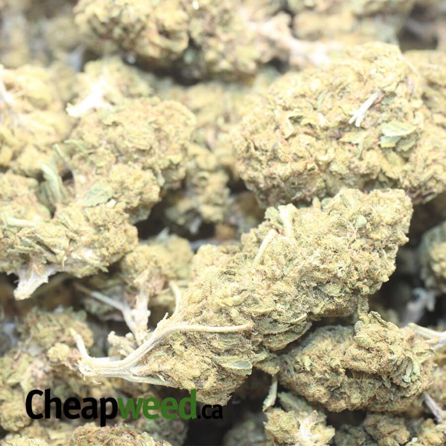 AA BLACK BUBBA 1 I AA Black Bubba