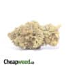 AA Black Bubba