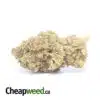 AA Black Bubba