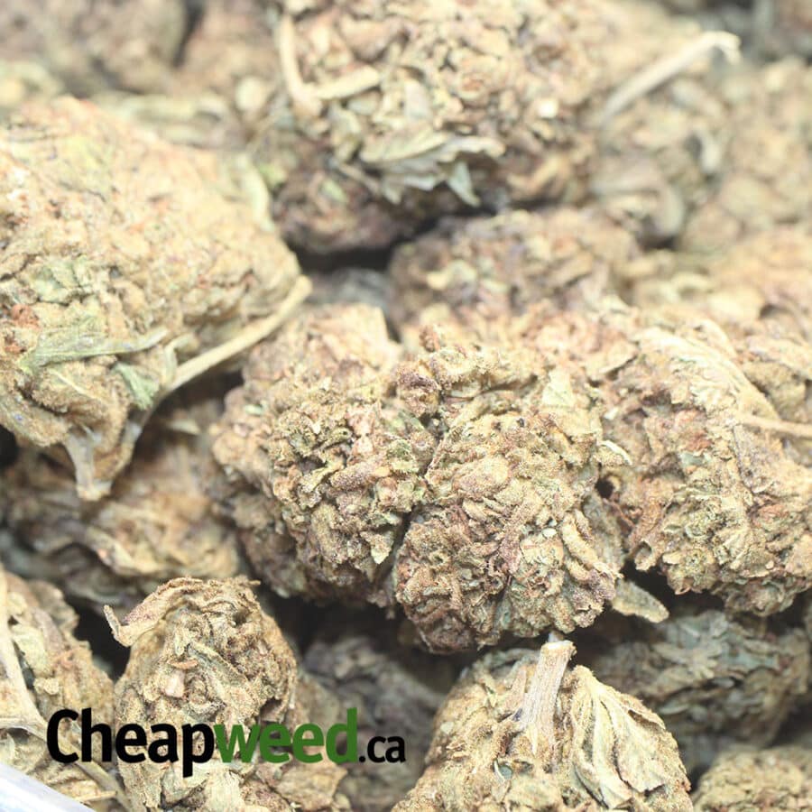 AA Kush Bulk Special - Image 3