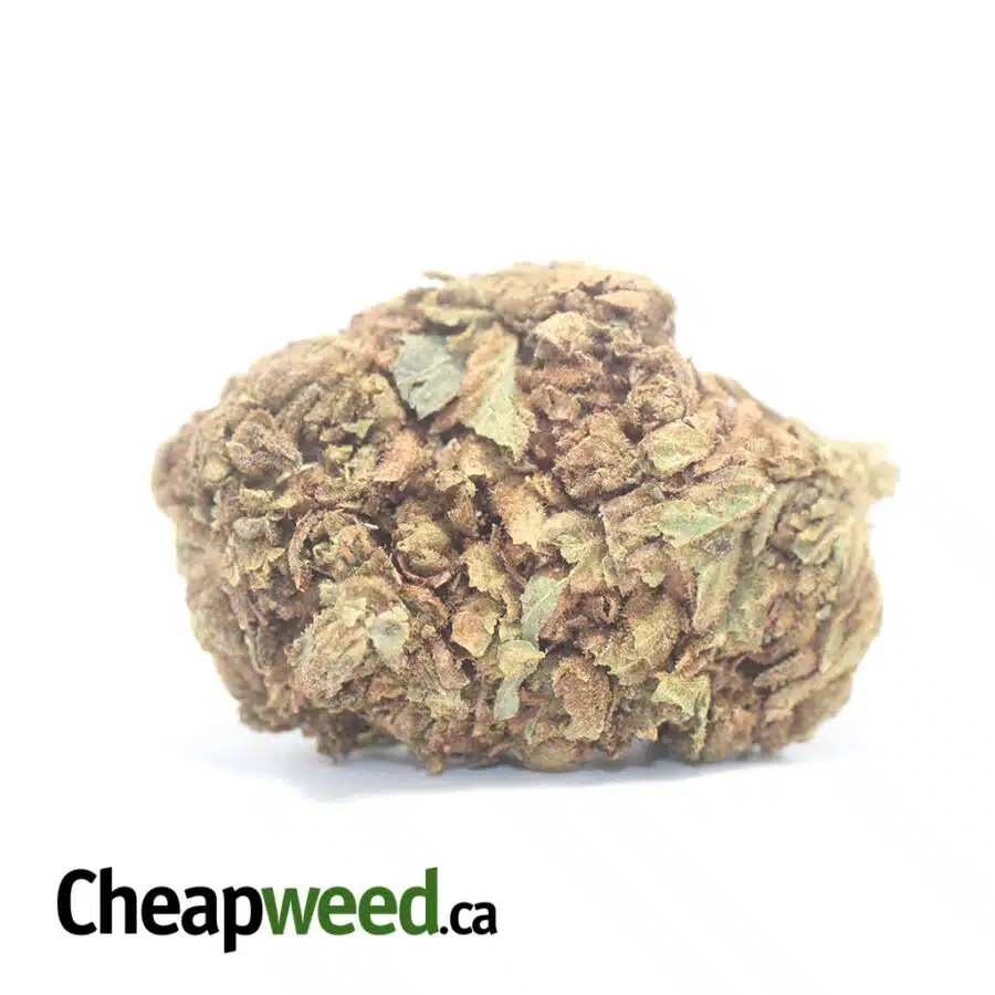 AA Kush Bulk Special