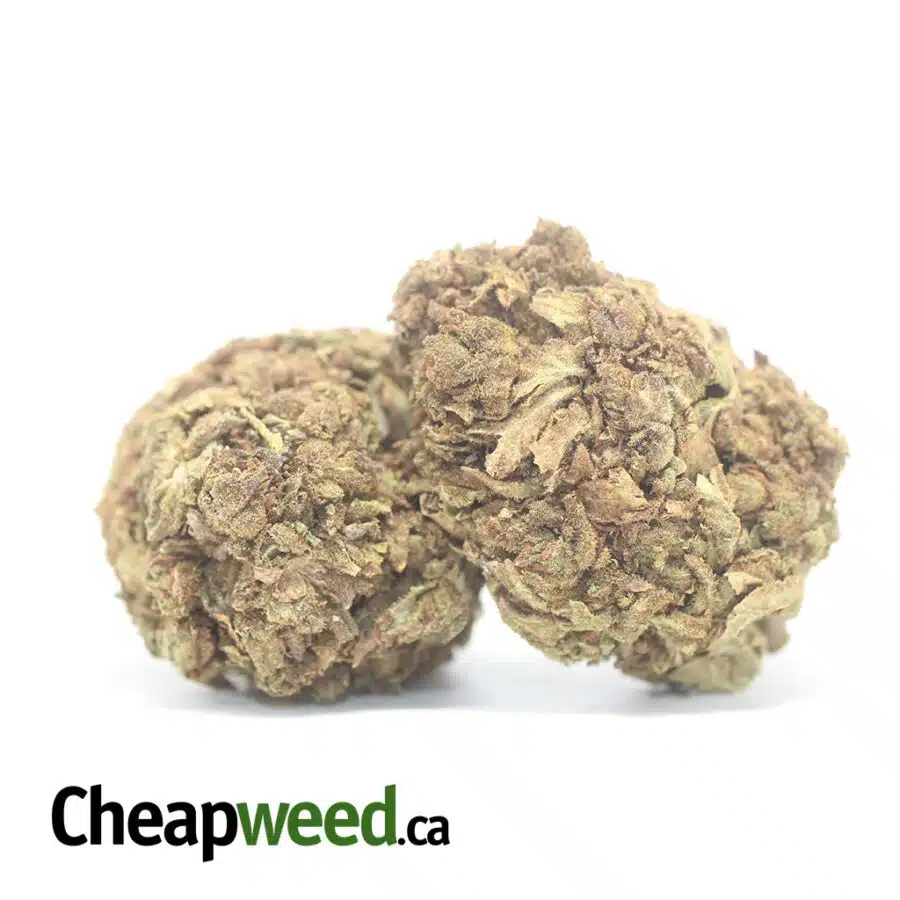 Alternative view of AA Kush Bulk Special