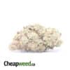AA Sweet Kush