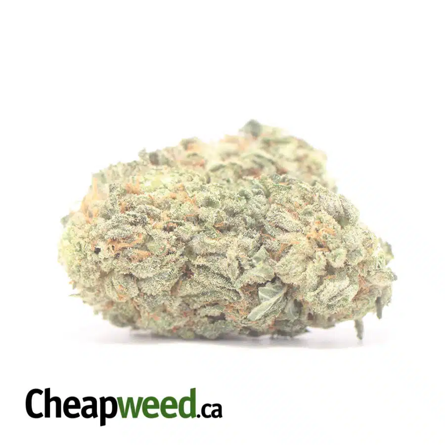 $ 75 Oz - Afghani Bullrider