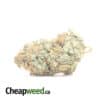 $ 69 Oz - Aurora