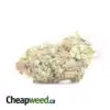 $ 69 Oz - Aurora