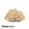 Bubba Kush Bulk Special