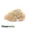$ 67 Oz - Bubblegum