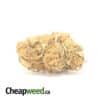 Columbian Gold Bulk Special