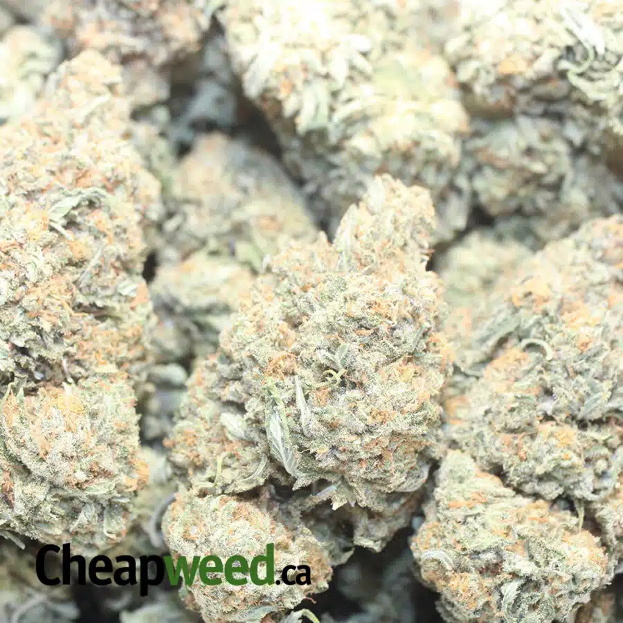 CALI BUBBA 1 I $ 69 Oz - Cali Bubba